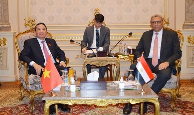 NA Vice Chairman pays working visit to Egypt